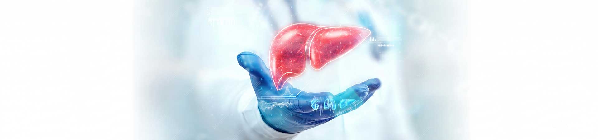 Liver Transplant
